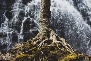 Quelle: Zach Reiner - via unsplash.com
